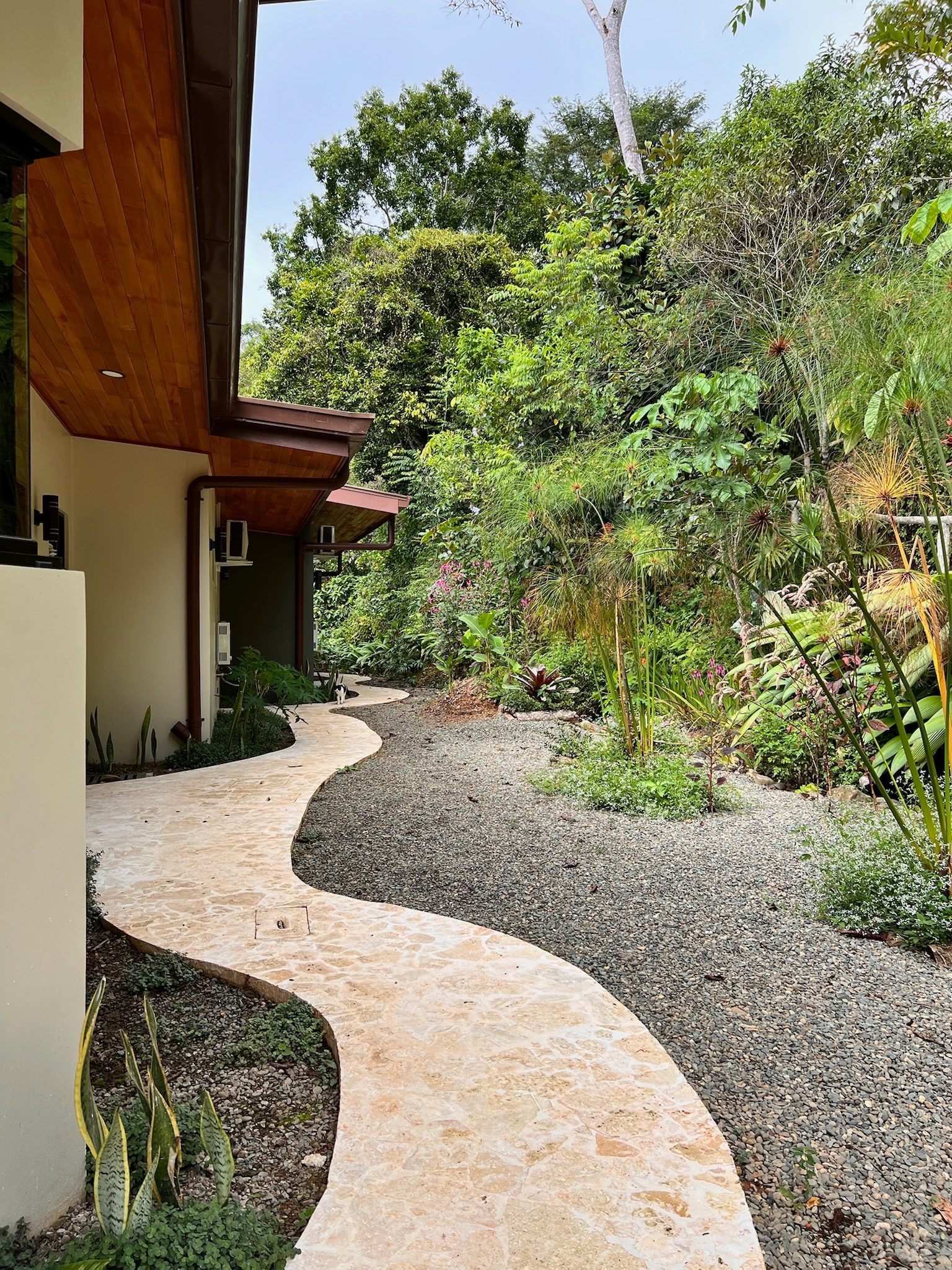 Coralina path through tropical gardens