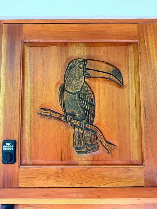 Hand-carved cedar Toucan door
