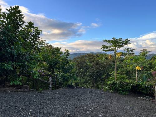Casa Cavu at dusk surrounded by jungle