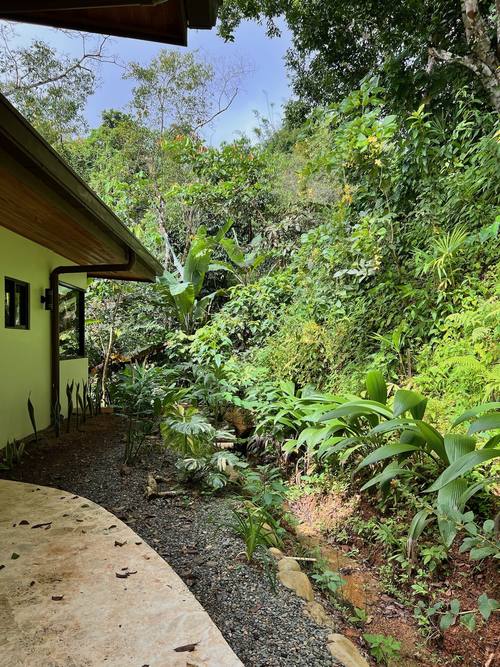 Lush plantings along the house