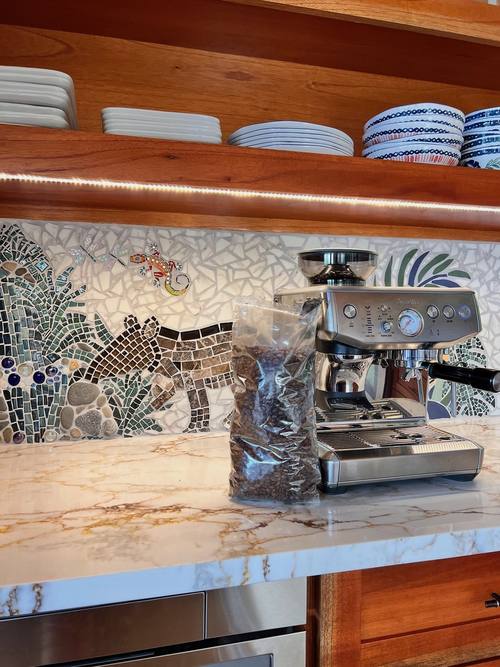 Chef's kitchen with mosaic backsplash and espresso bar
