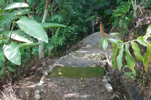 Private hiking trail through the jungle