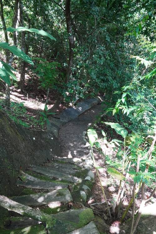 Winding jungle trail at Casa Cavu